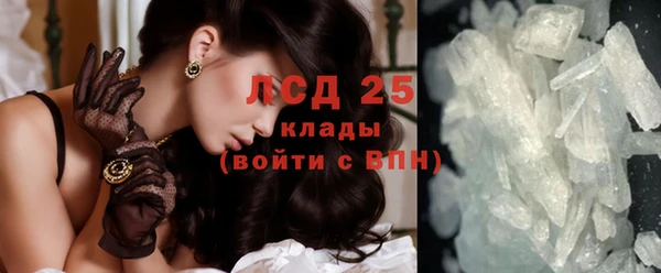 spice Богородицк