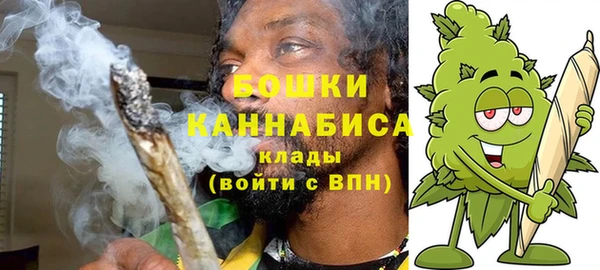 стаф Богданович