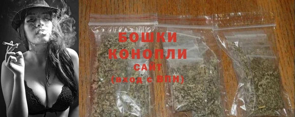 тгк Бронницы