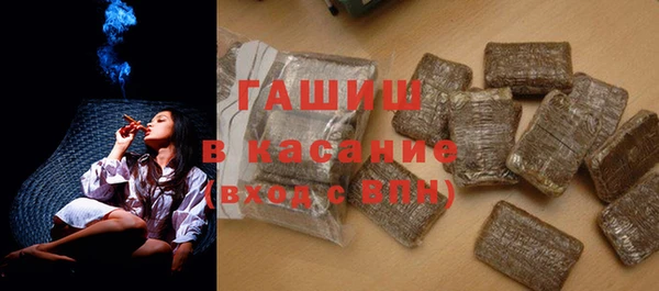 стаф Богданович