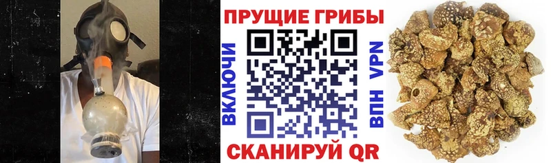 Галлюциногенные грибы MAGIC MUSHROOMS  blacksprut рабочий сайт  Вуктыл 